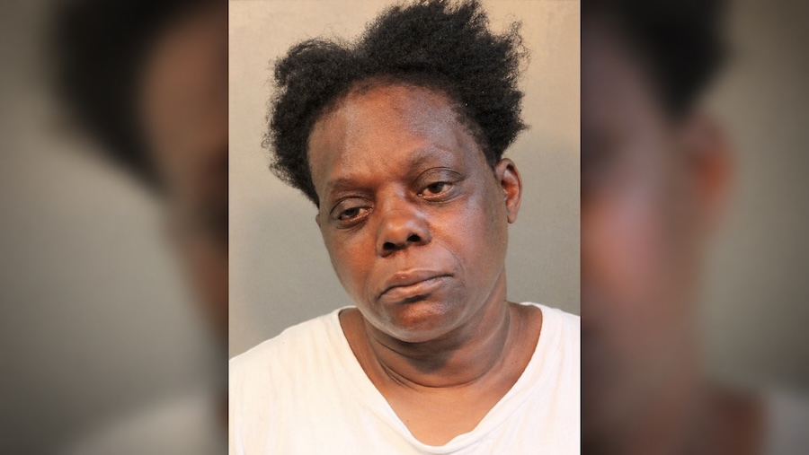 Shoplifting Suspect Becomes Combative During Arrest at Victoria’s Secret in Roosevelt Field Mall