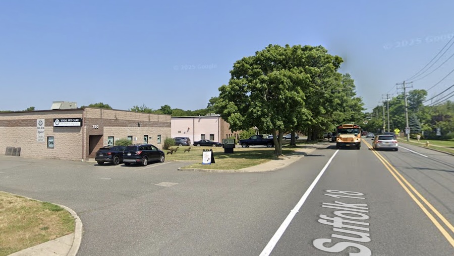 Holbrook Hit-And-Run Kills Pedestrian, Police Seek Driver