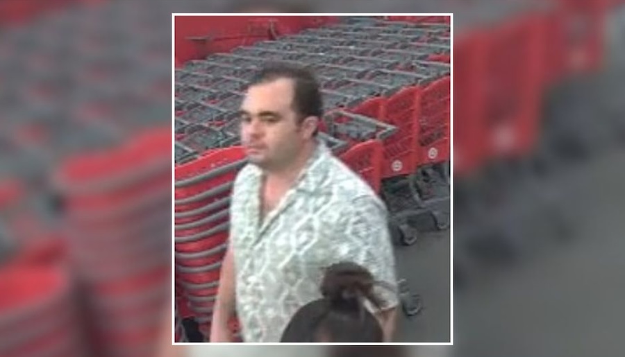 Police Seek Man Accused of Stealing From South Setauket Target