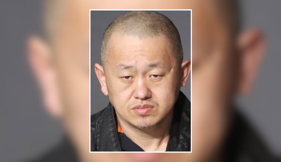 Police Seek Man Wanted for Shoplifting, Anti-Security Item Offenses in Manhasset