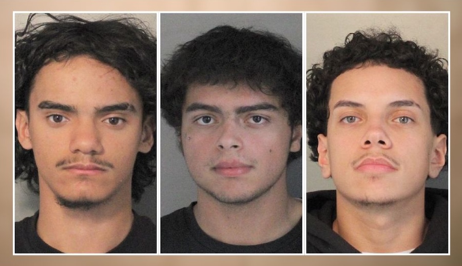 Three Men Arrested Inside Sunrise Mall After Overnight Break-In, Gun Recovered From Vehicle