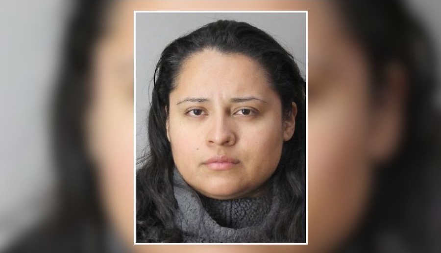 Nassau Police Seek Woman Wanted on Felony Criminal Mischief Charge in Albertson