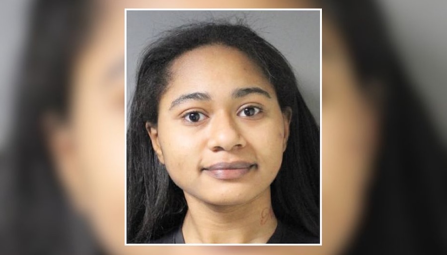 Woman Wanted in Stolen Credit Card Case in East Garden City