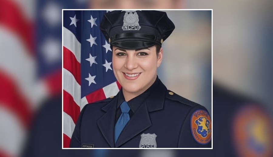 Drunk Driver Admits Guilt in Crash That Killed Nassau Police Officer Patricia Espinosa