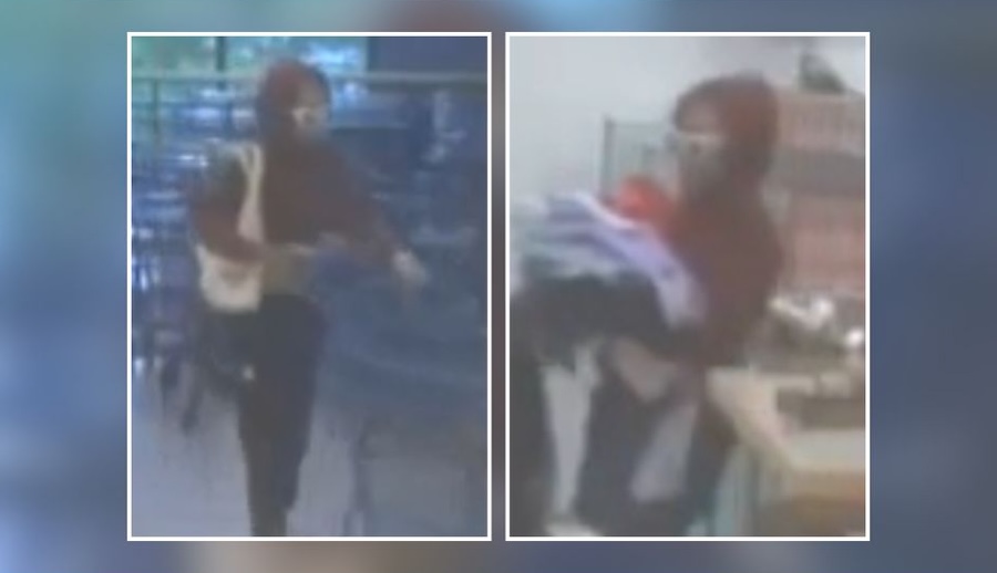 Police Seek Woman Accused of Stealing $375 in Clothing From Commack Marshalls