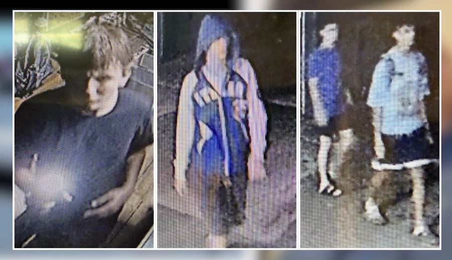 Police Seek Group Accused of Damaging Golf Cart, Fence at Bodhi’s Beach Shack in Blue Point