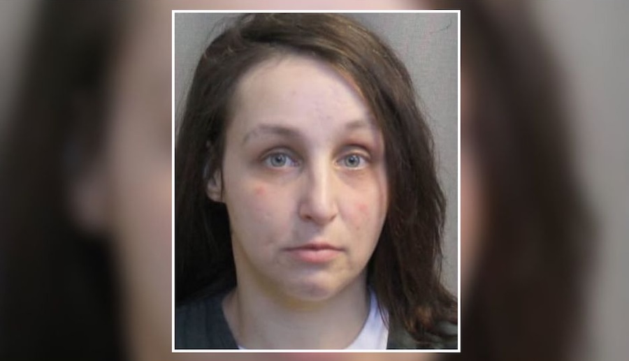 Police Seek Woman Accused of Stealing More Than $3,000 in Elmont