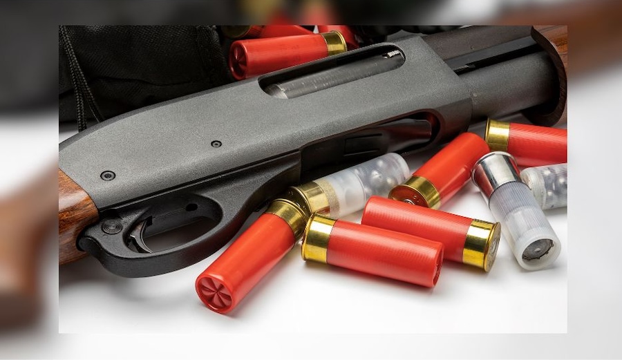 Shot gun long gun