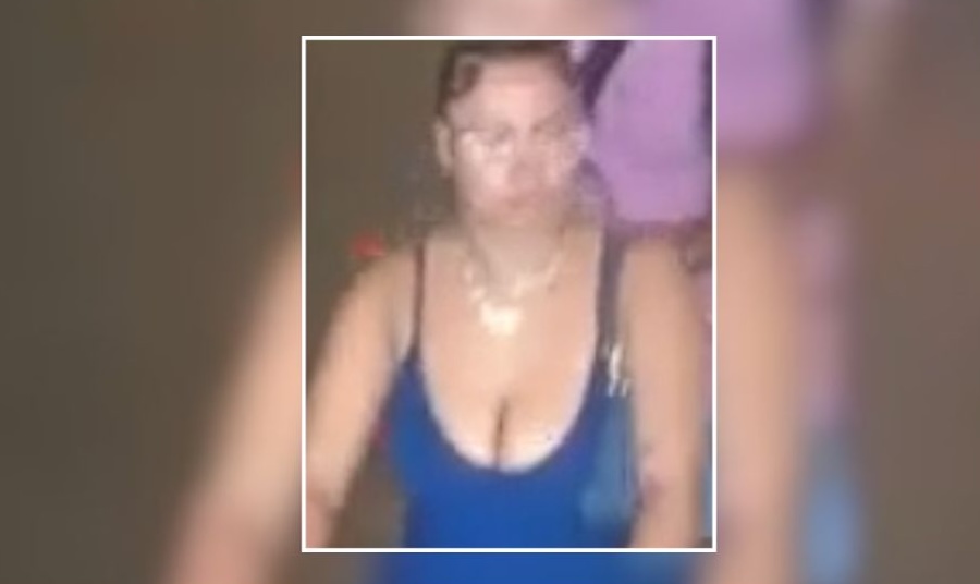 Police Seek Woman Accused of Stealing Health and Beauty Products From Selden Target