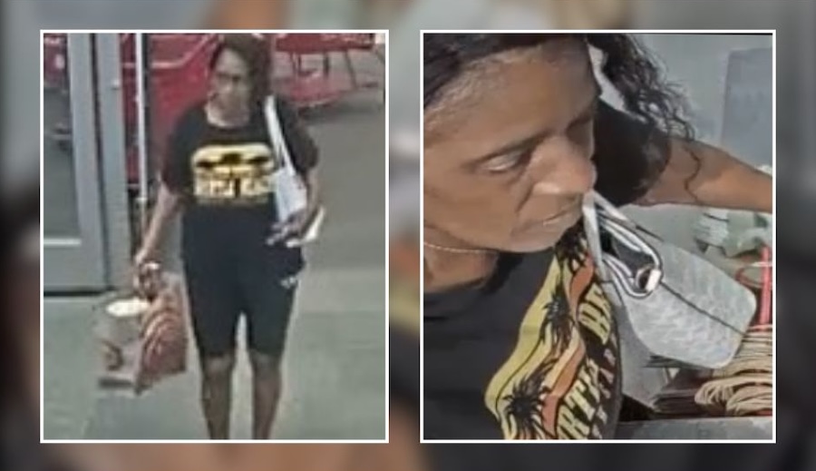 Police Seek Woman Accused of Stealing Clothing From Medford Target
