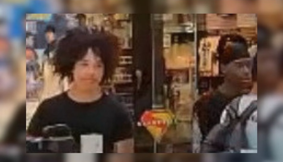 Police Seek Two Men in Smith Haven Mall Phone Case Theft