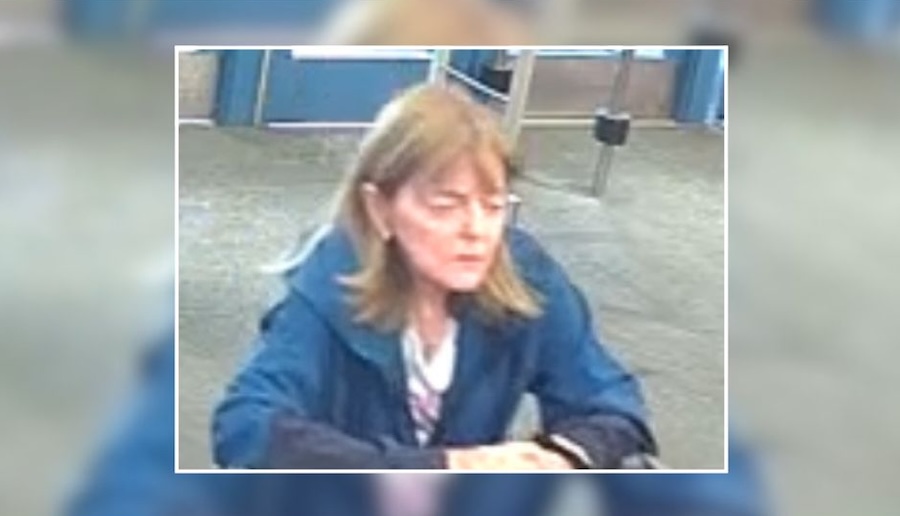 Police Seek Woman Accused of Stealing Clothing From South Setauket Target