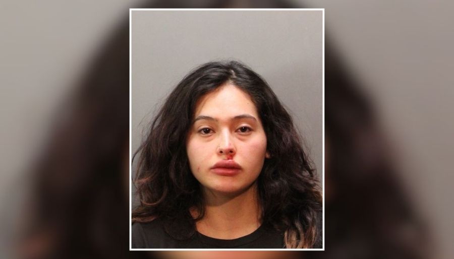 South Hempstead Woman Accused of Attacking Woman With Broken Bottle, Assaulting 2 Officers