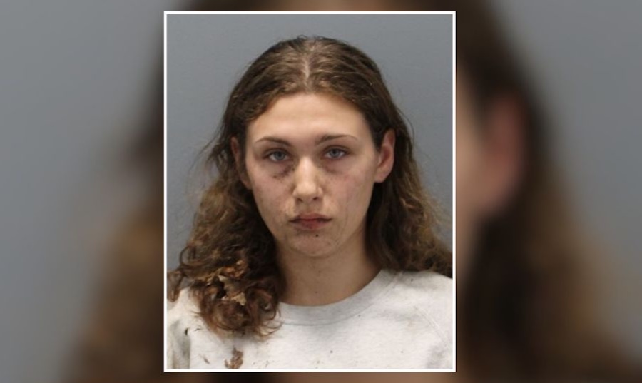 Georgia Woman Accused of Injuring Officer During Jericho Traffic Investigation