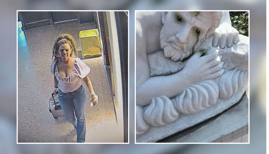 Police Seek Woman Accused of Defacing St. Michael Statue at North New Hyde Park School