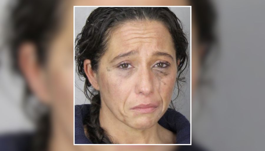 Plainview Woman Pleads Guilty in Meth-Fueled East Meadow Crash That Killed 55-Year-Old