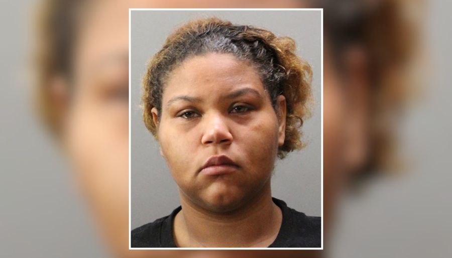 19-Year-Old Freeport Woman Accused of Beating Woman Unconscious in Westbury