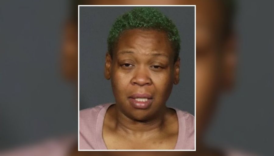 Nassau Police Seek Woman in Elmont Shoplifting Case