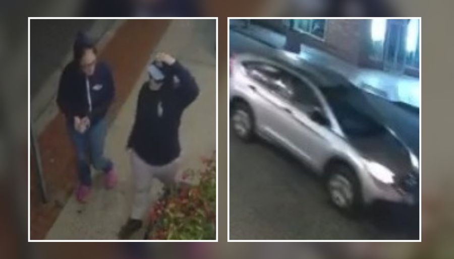 Police Seek 2 Who Stole $100 Worth of Plants From Sayville Store