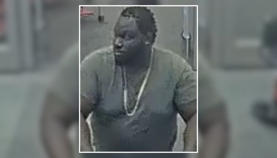 Police Seek Man Accused of Stealing $261 in Clothing From Medford Target