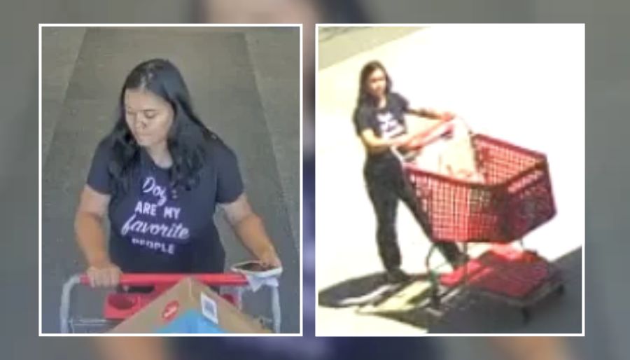 Police Seek Woman Accused of Stealing Car Seat, Clothes From Medford Target