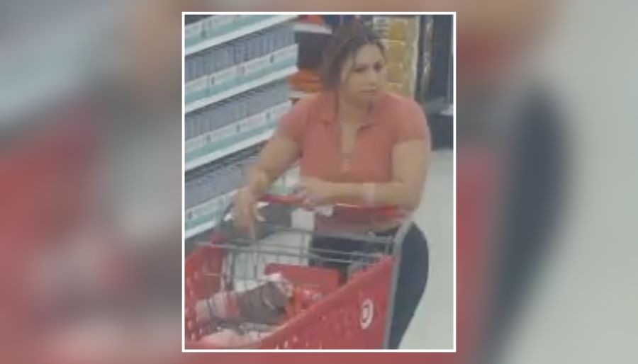 Police Seek Woman Accused of Stealing Cosmetics From Selden Target