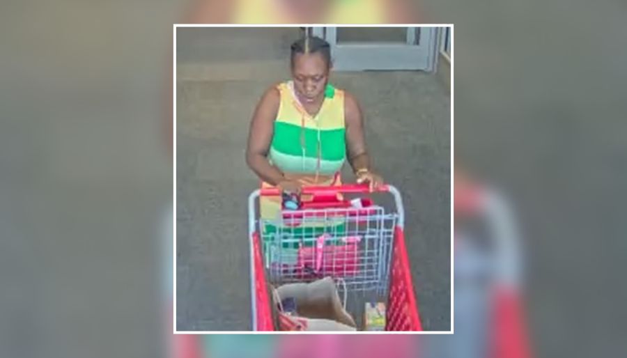 Police Seek Woman Accused of Stealing Merchandise From Medford Target